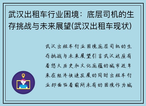 武汉出租车行业困境：底层司机的生存挑战与未来展望(武汉出租车现状)