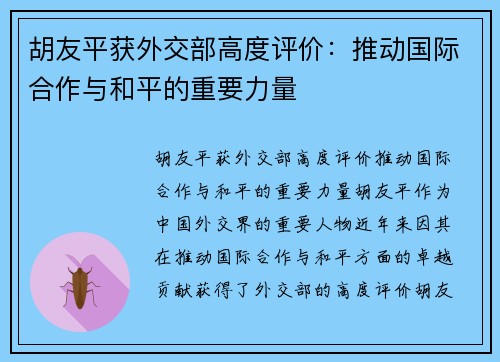 胡友平获外交部高度评价：推动国际合作与和平的重要力量