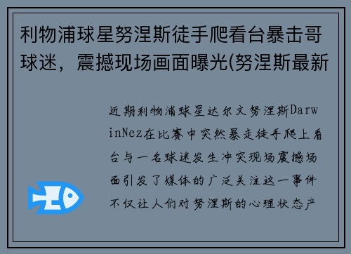 利物浦球星努涅斯徒手爬看台暴击哥球迷，震撼现场画面曝光(努涅斯最新比赛)