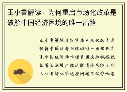 王小鲁解读：为何重启市场化改革是破解中国经济困境的唯一出路