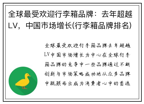 全球最受欢迎行李箱品牌：去年超越LV，中国市场增长(行李箱品牌排名)