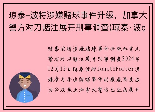 琼泰-波特涉嫌赌球事件升级，加拿大警方对刀赌注展开刑事调查(琼泰·波特)