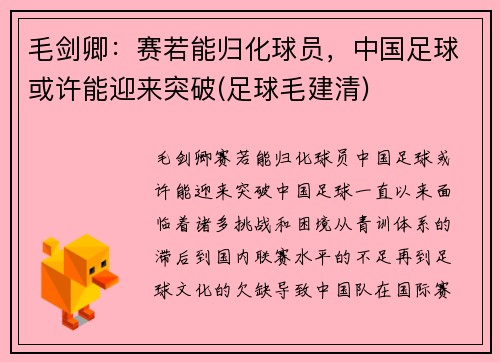 毛剑卿：赛若能归化球员，中国足球或许能迎来突破(足球毛建清)