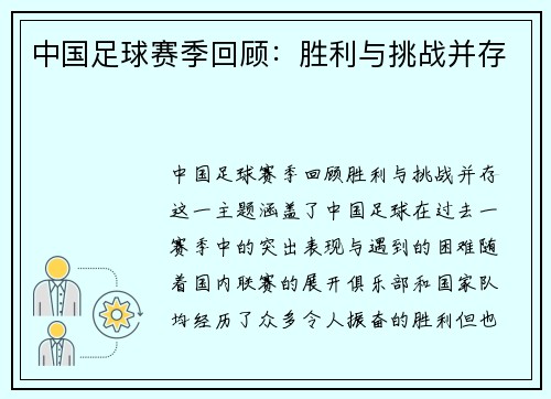中国足球赛季回顾：胜利与挑战并存