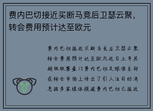 费内巴切接近买断马竞后卫瑟云聚，转会费用预计达至欧元