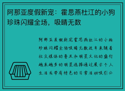 阿那亚度假新宠：霍思燕杜江的小狗珍珠闪耀全场，吸睛无数